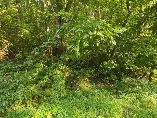 Land for sale in Virginia