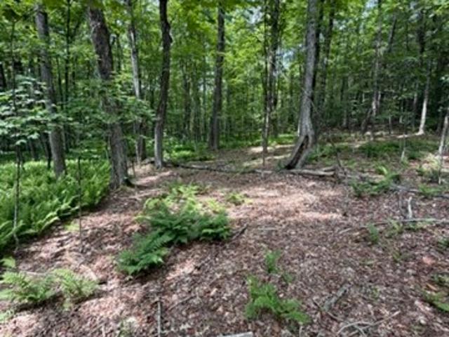 Land for sale in Rowe, Massachusetts