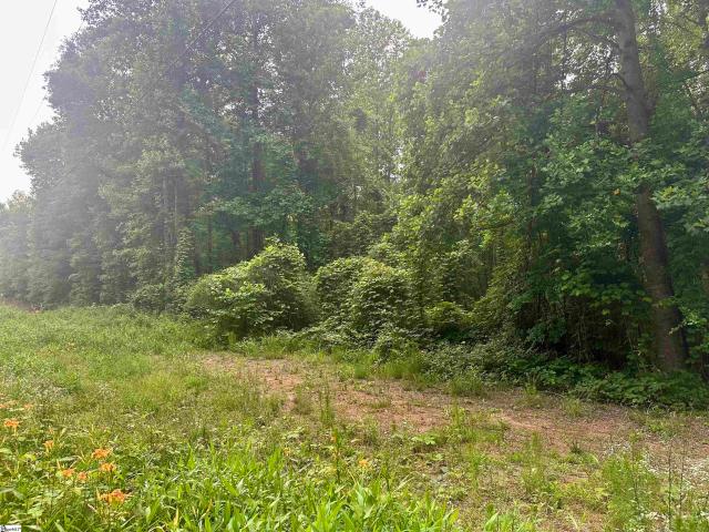 Land for sale in Marietta, South Carolina