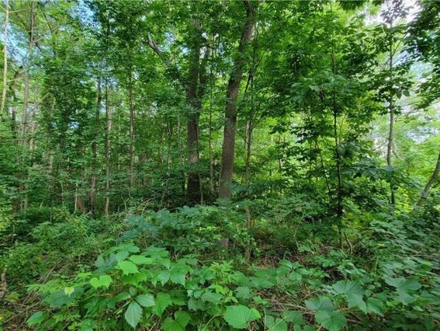 Land for sale in Honeoye, New York