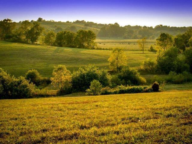 Land for sale in Stanford, Kentucky
