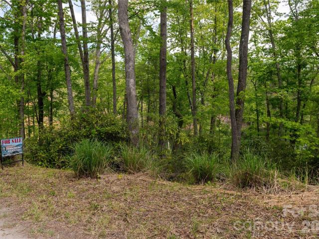 Land for sale in Spruce Pine, North Carolina