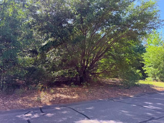 Land for sale in Barnwell, South Carolina