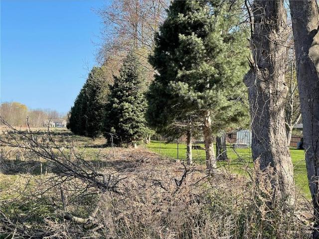 Land for sale in Palmyra, New York
