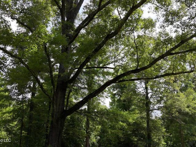 Land for sale in Vicksburg, Mississippi
