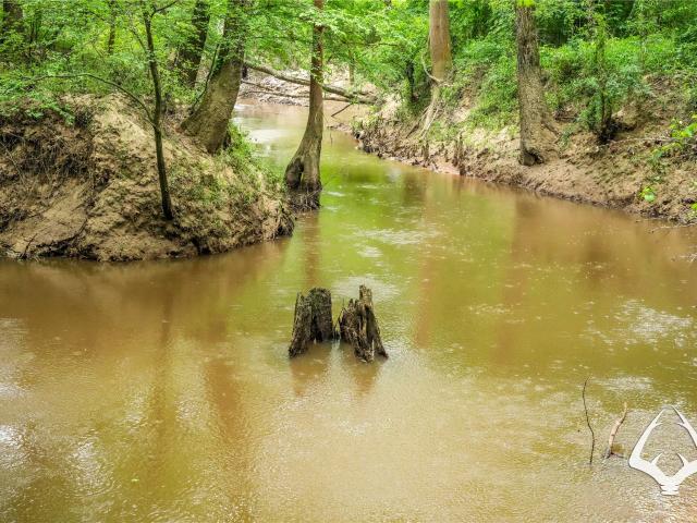 Land for sale in Sabine, Texas