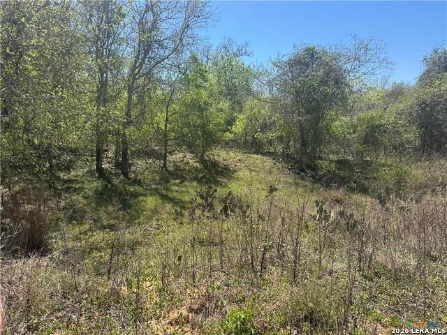 Land for sale in Kingsbury, Texas