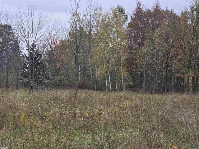 Commercial for sale in Capac, Saint Clair County