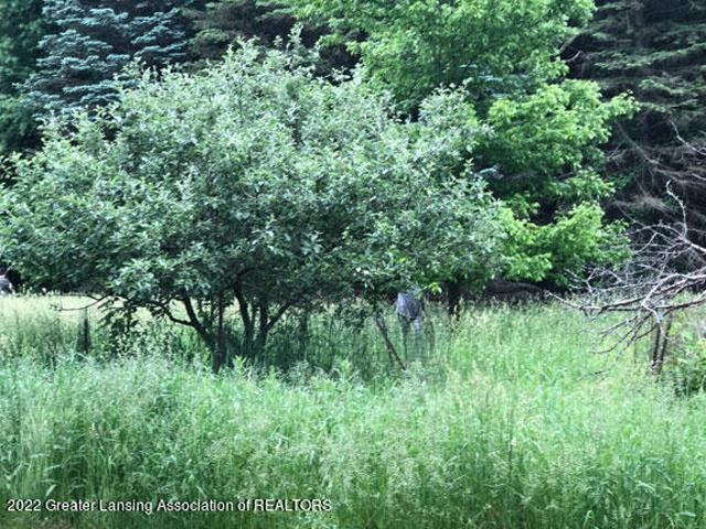 Land for sale in Dewitt, Michigan