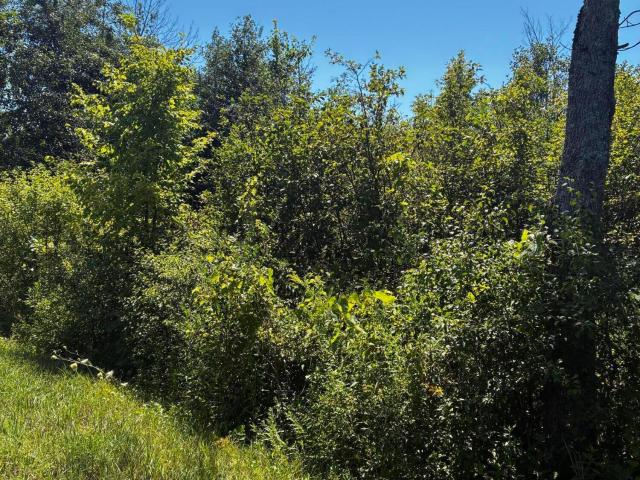 Land for sale in Johnstown, New York