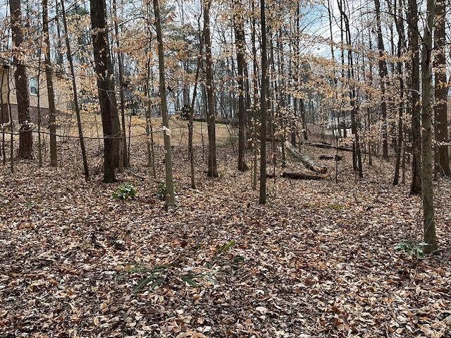 Land for sale in Canton, Georgia