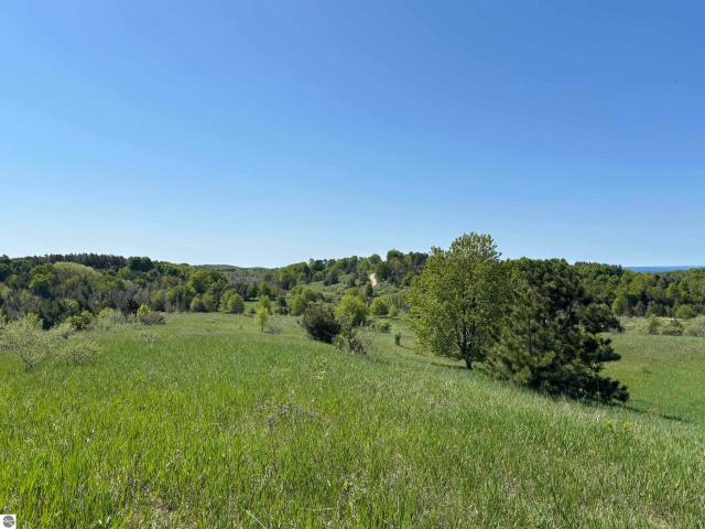 Land for sale in Michigan