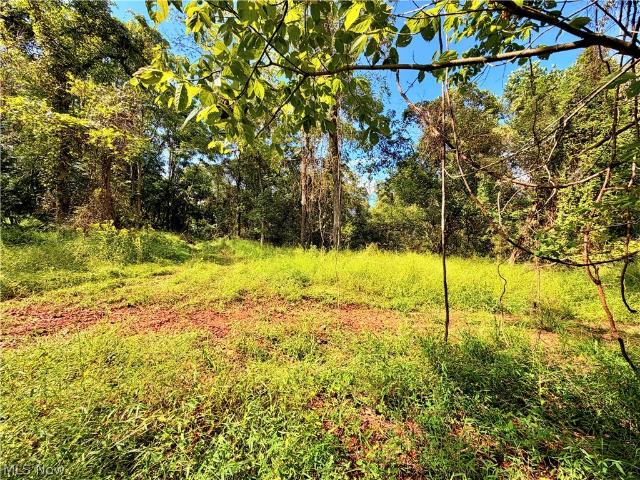 Land for sale in Ravenswood, West Virginia
