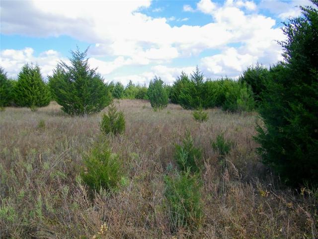 Land for sale in Prague, Oklahoma