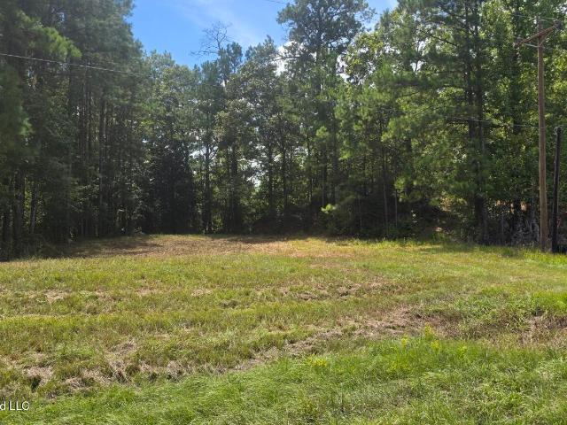 Land for sale in Roxie, Mississippi