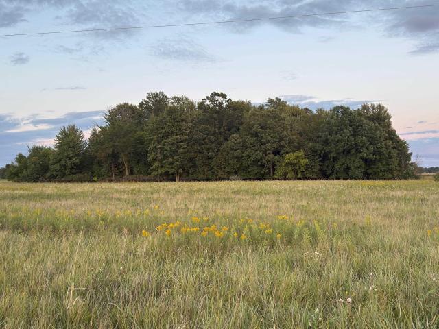 Land for sale in Michigan