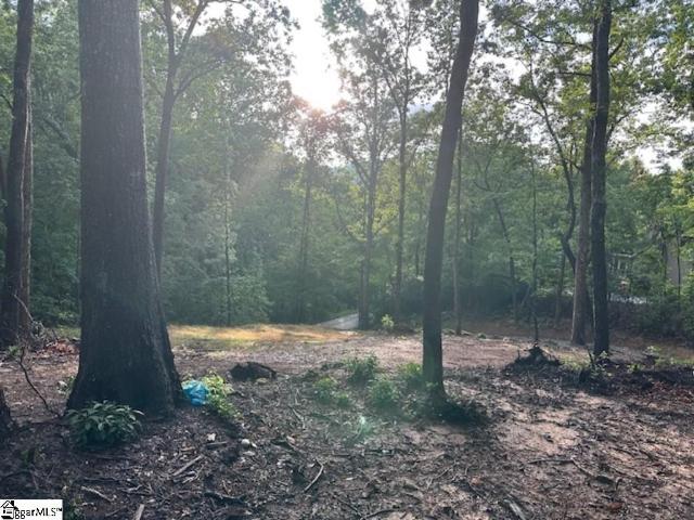 Land for sale in Landrum, South Carolina