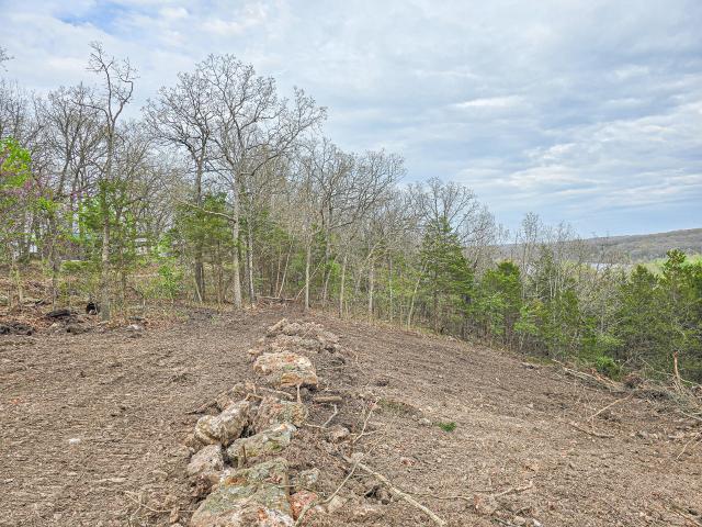 Land for sale in Hickory, Missouri
