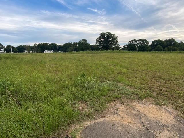Land for sale in Laurens, Laurens County