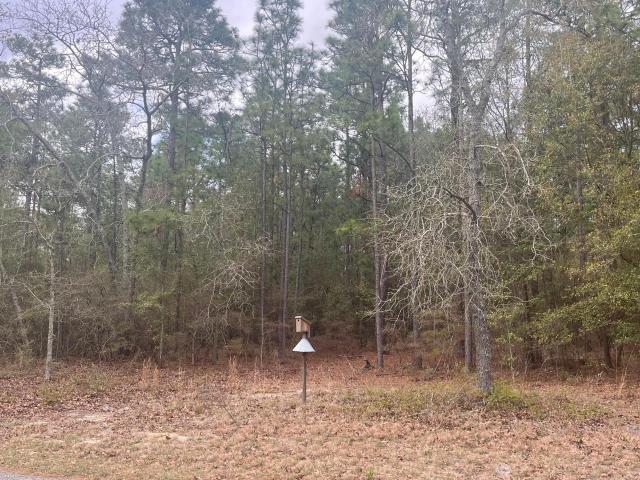 Land for sale in Aiken, South Carolina