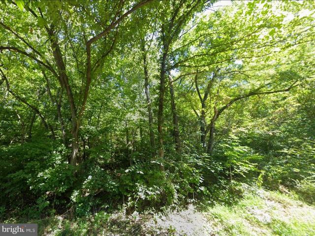 Land for sale in Virginia