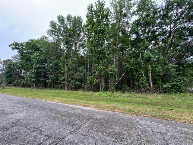 Land for sale in Estill, South Carolina