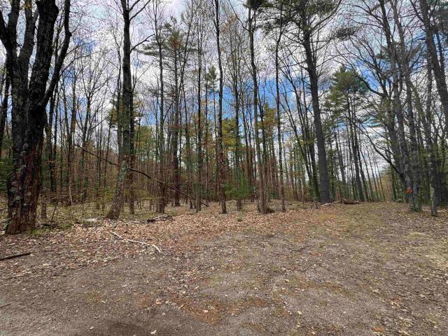 Land for sale in New Hampshire