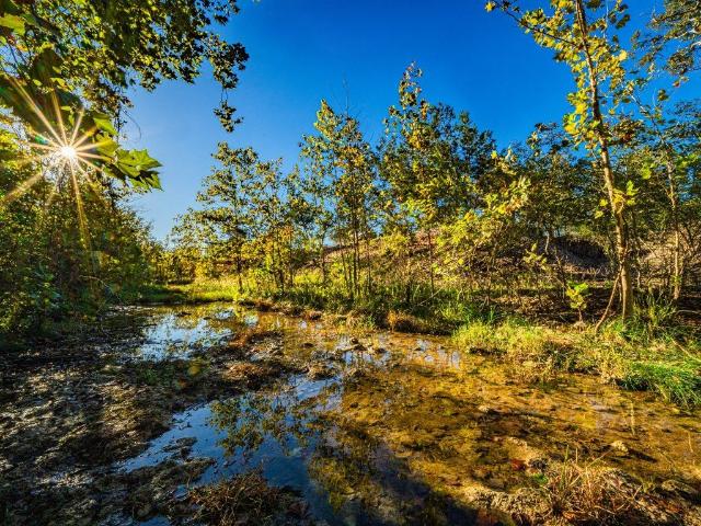 Ranch for sale in Williamson, Texas