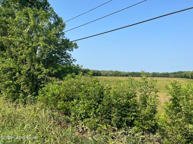 Land for sale in Caneyville, Kentucky