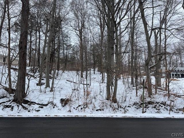 Land for sale in Cayuga, New York
