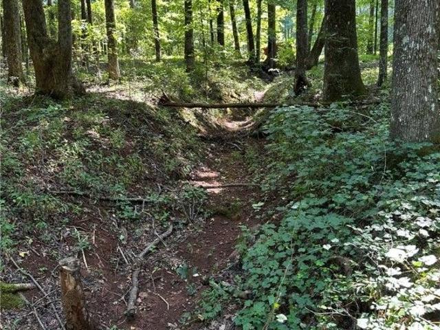 Property for sale in Madison, Georgia