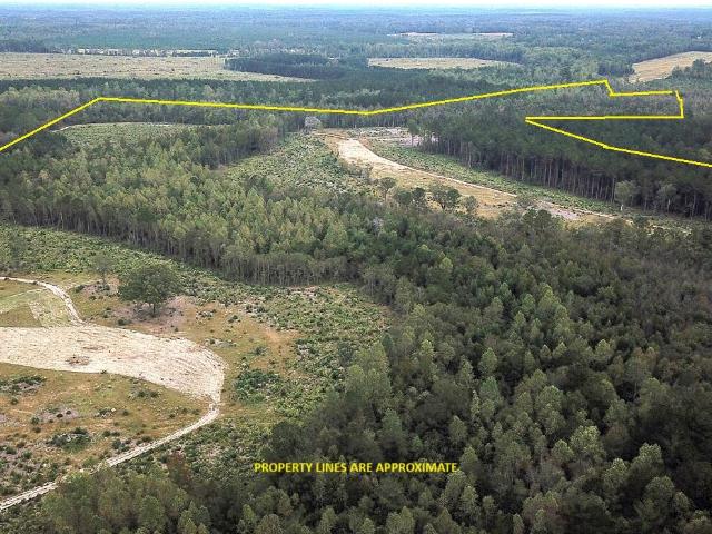 Land for sale in Williston, South Carolina