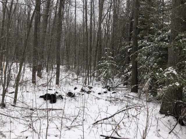 Land for sale in Hale