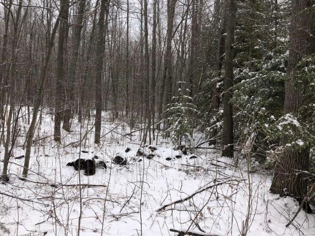 Land for sale in Hale