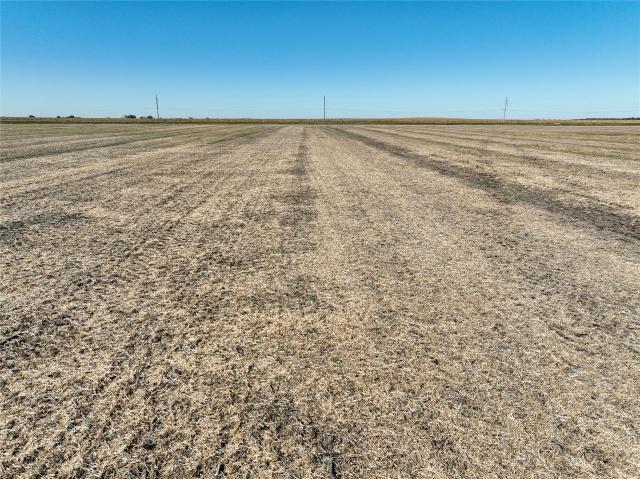Land for sale in Webster City, Iowa