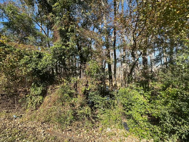 Land for sale in Elloree, South Carolina