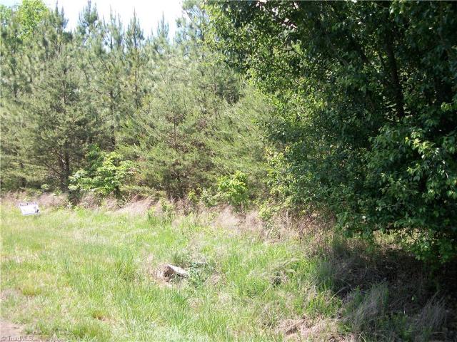 Land for sale in Eden, North Carolina