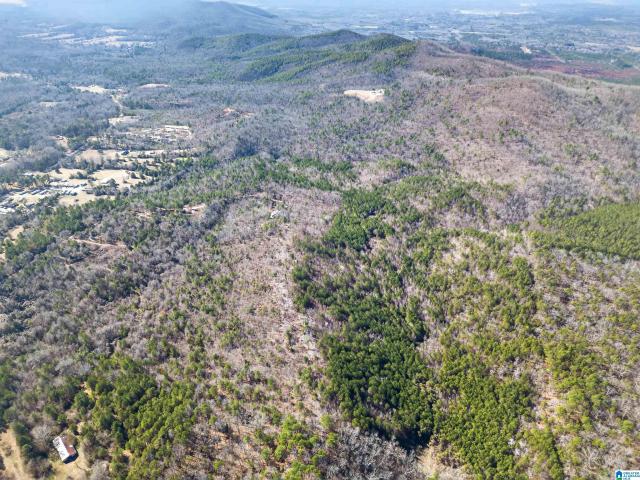 Land for sale in Talladega, Alabama