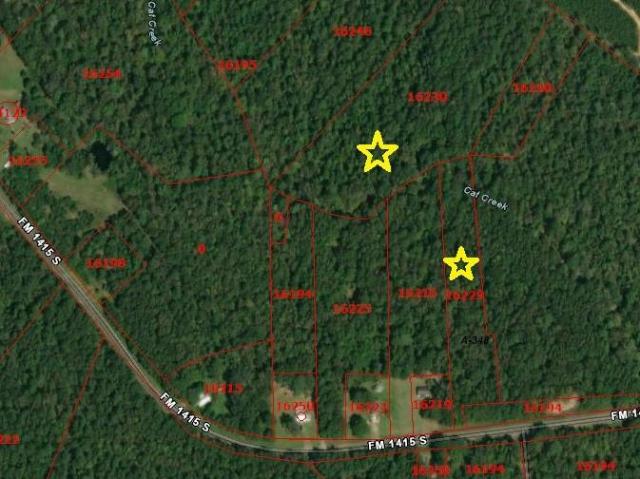 Land for sale in Burkeville