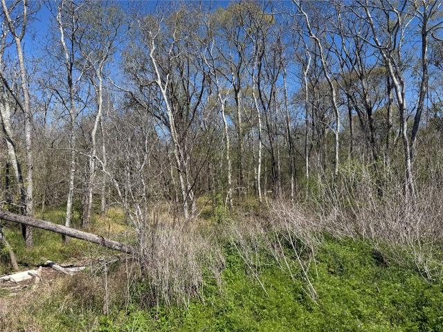 Land for sale in Alvin, Texas