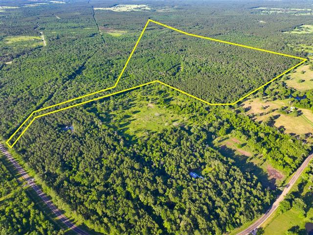 Land for sale in Weldon, Lovelady
