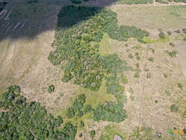Farm for sale in Cuero, DeWitt County