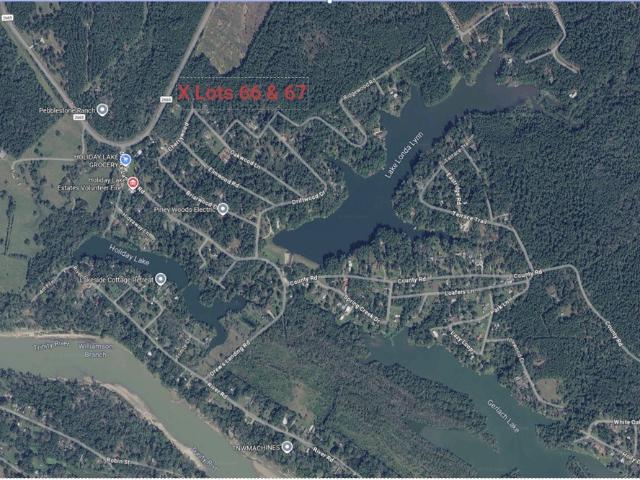 Land for sale in Polk, Texas