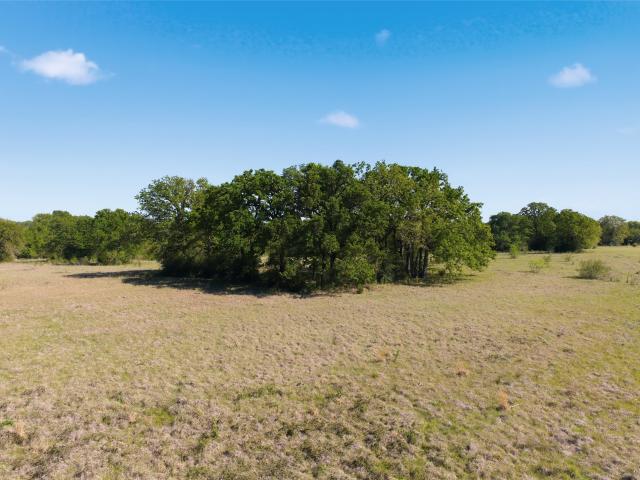 Land for sale in Limestone, Texas