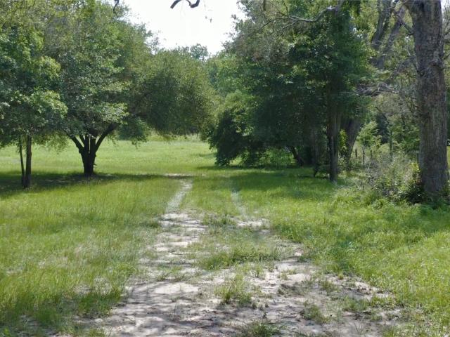 Land for sale in William Penn, Brenham