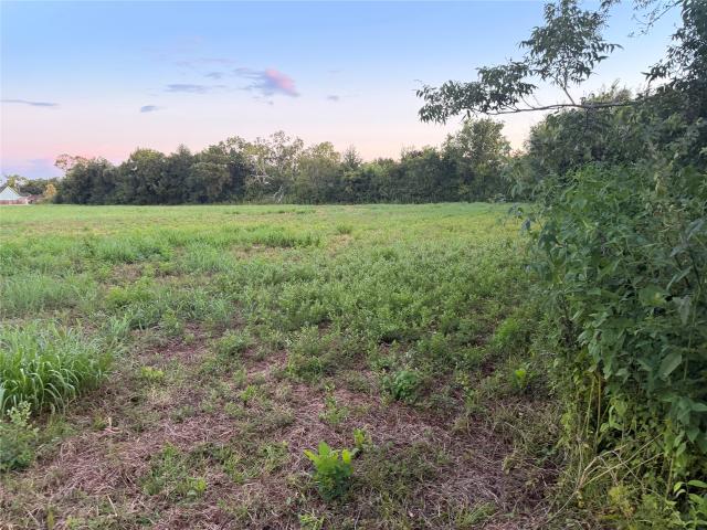 Land for sale in Blessing, Matagorda County
