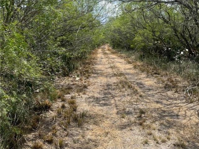 Commercial Land for sale in Mathis