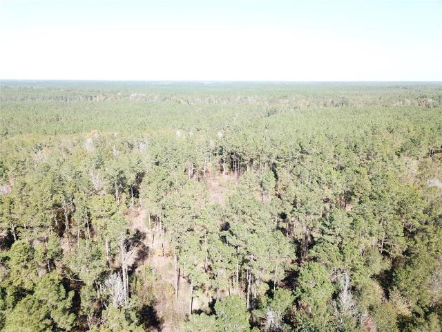 Land for sale in Kountze, Hardin County