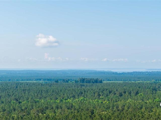 Land for sale in Bronson