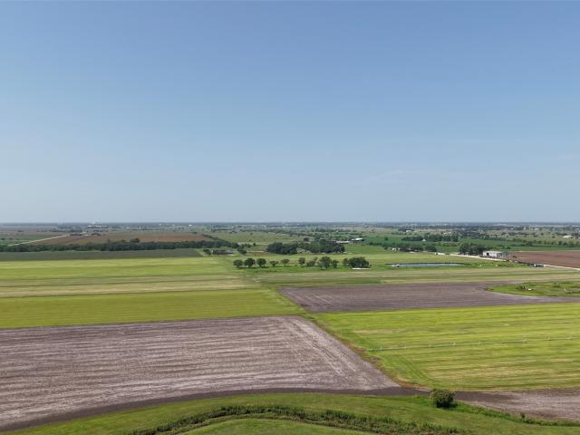 Farm for sale in El Campo, Wharton County